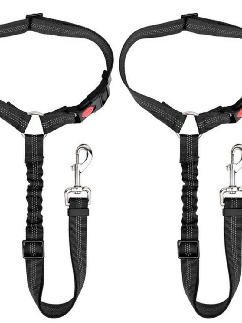 TailLock – Verstellbarer elastischer Hunde Autosicherheitsgurt für Sicherheit und Komfort