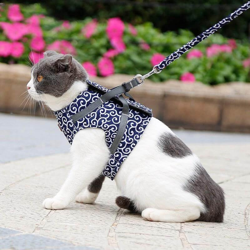 MeowMate – Ausbruchsichere verstellbare Katzengeschirrweste für Outdoor Abenteuer