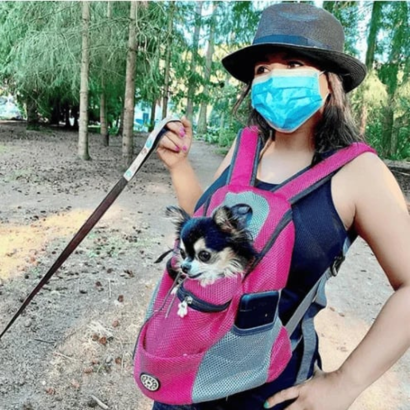 PackPaw – Bequemer Haustier Rucksack mit verstellbaren Trägern und großem Fassungsvermögen