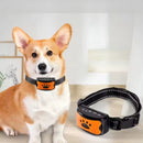 ZenCollar – Wiederaufladbares Anti Bell Hundehalsband mit sanftem, automatischem Training