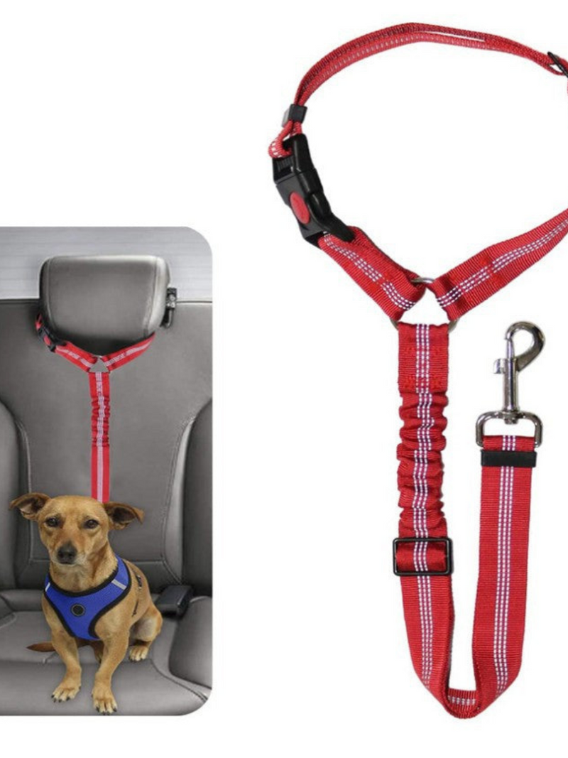 TailLock – Verstellbarer elastischer Hunde Autosicherheitsgurt für Sicherheit und Komfort