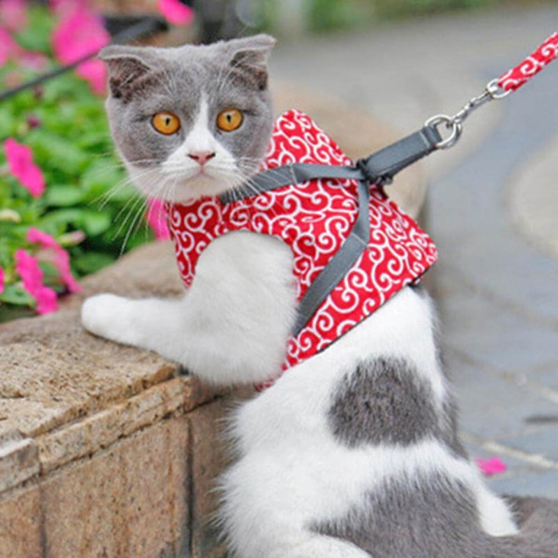 MeowMate – Ausbruchsichere verstellbare Katzengeschirrweste für Outdoor Abenteuer