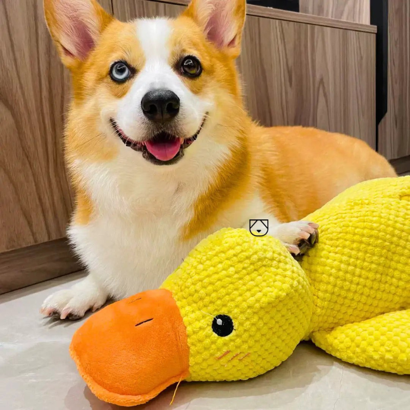 QuackJoy – Quietschendes Hundespielzeug in Entenform für interaktiven Spaß