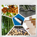 TreeMate – Einhand Mini Kettensäge mit Akku Power für schnelles und einfaches Holzschneiden