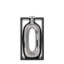 VaseLume – Dekorative Vase mit hohlem Ausschnitt Entwerfen für die Präsentation zu Hause