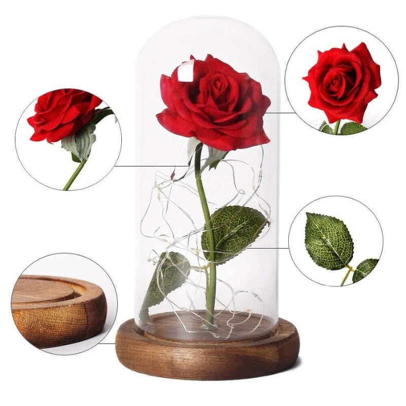 LumiRose – LED Rosen Tischlampe mit Glaskuppel und zwei Stromversorgungsoptionen