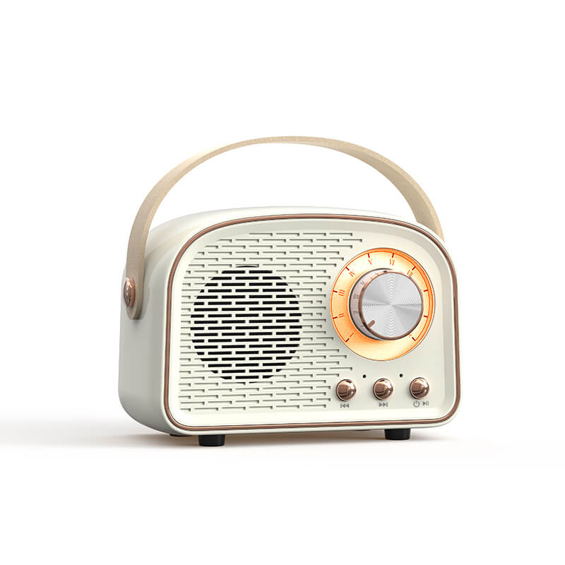 SoundVibe – Tragbarer Bluetooth Lautsprecher mit FM Hörfunk und klassischem Sound