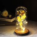 LumiRose – LED Rosen Tischlampe mit Glaskuppel und zwei Stromversorgungsoptionen