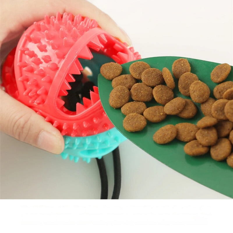 PawGrip – Hundespielzeug mit Saugnapf für Zahnpflege und aktives Spielen
