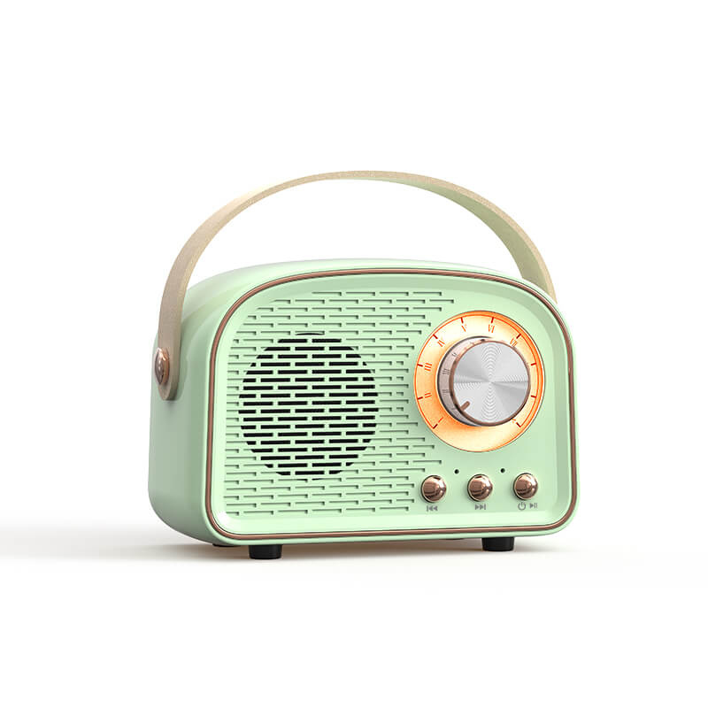 SoundVibe – Tragbarer Bluetooth Lautsprecher mit FM Hörfunk und klassischem Sound
