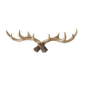 AntleHang – Dekorative Wandhaken in Geweihform und funktionale Aufhängelösung
