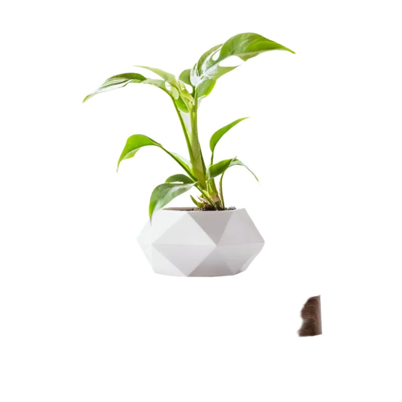 AxisRoot – Moderner geometrischer rotierender Pflanztopf für dynamische Pflanzenpräsentation