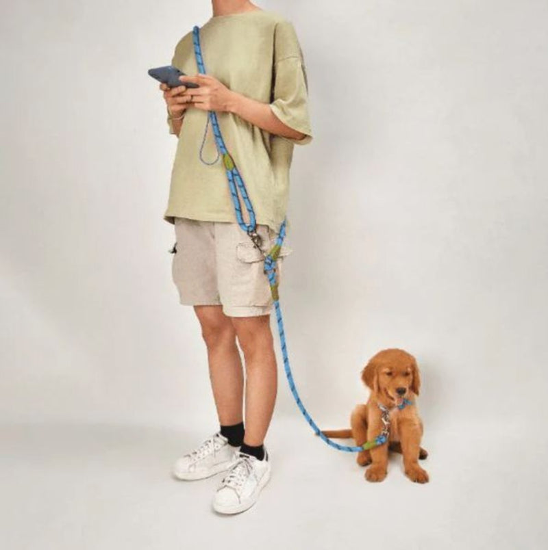PawStride – Freihändiges Spazierseil für Haustiere mit verstellbarem Gürtel
