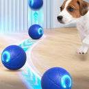 VibraPaws – Interaktiver rollender Spielzeugball mit Bewegung und Lichtern für Haustiere