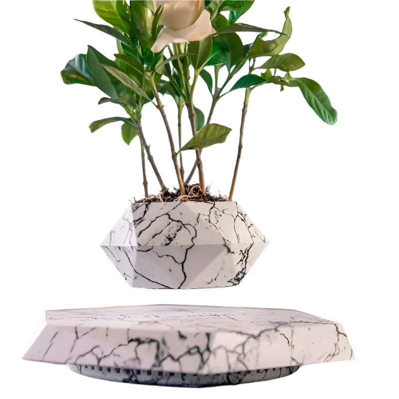 AxisRoot – Moderner geometrischer rotierender Pflanztopf für dynamische Pflanzenpräsentation