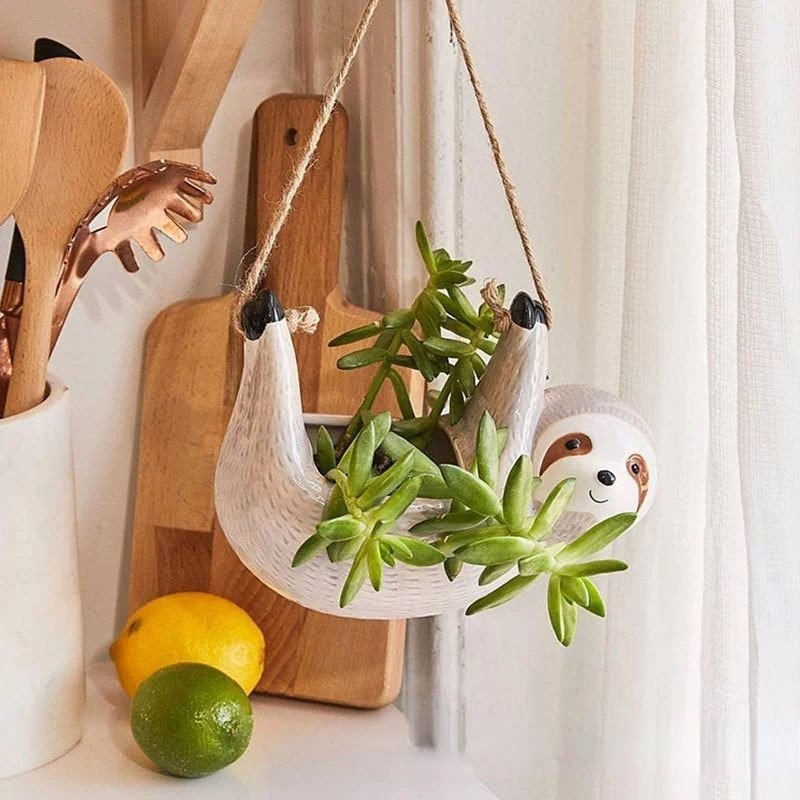 SlothBloom – Tragbare hängende Blumentöpfe mit verspieltem Faultier Design für einzigartige Dekoration