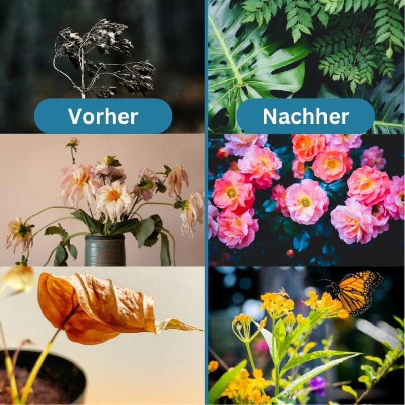 GrowEase - Langsame Freigabe Düngemitteltabletten für gesunde Pflanzen Blumen und Gartenwachstum