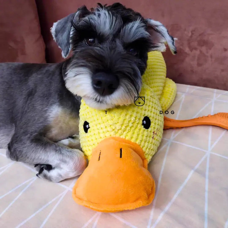 QuackJoy – Quietschendes Hundespielzeug in Entenform für interaktiven Spaß