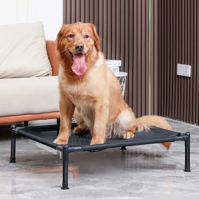 PawPort – Waschbares Klappbett für Katzen und Hunde mit tragbarem Entwerfen
