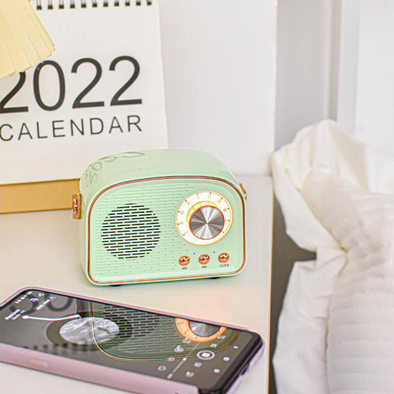 SoundVibe – Tragbarer Bluetooth Lautsprecher mit FM Hörfunk und klassischem Sound