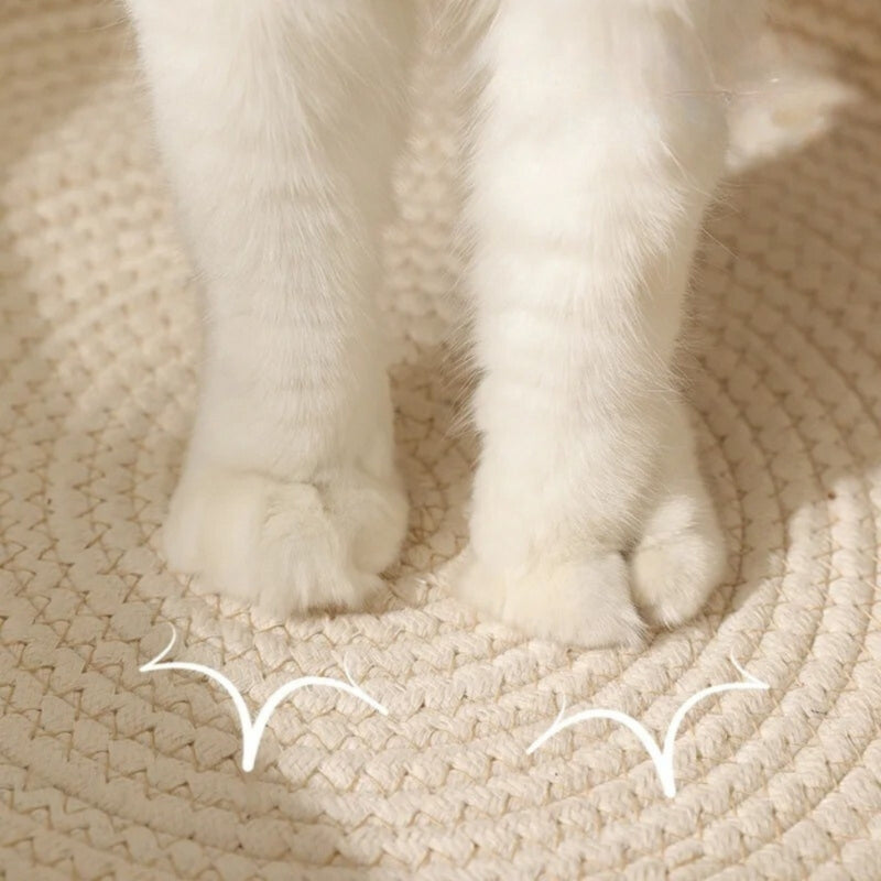 PurrNest – Handgewebtes Katzenbett aus Seil mit hohen Wänden und gemütlichem Entwerfen