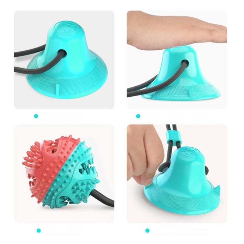 PawGrip – Hundespielzeug mit Saugnapf für Zahnpflege und aktives Spielen