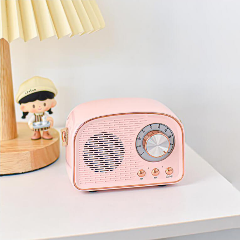 SoundVibe – Tragbarer Bluetooth Lautsprecher mit FM Hörfunk und klassischem Sound
