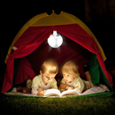 SolarGlow - Solarbetriebene Außenlampe mit USB Aufladung für zuverlässige Beleuchtung