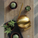 AquaLeaf – Kompakte Gießkanne mit schmalem Ausguss und Griff