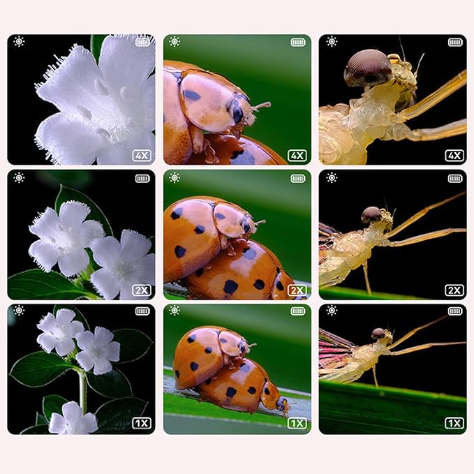 SnapZoom - LED Beleuchtung Einstellbar Helligkeit Kinder Mikroskop