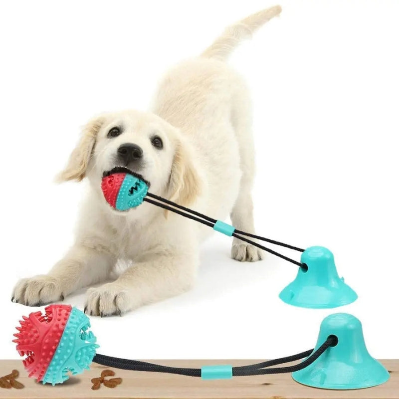 PawGrip – Hundespielzeug mit Saugnapf für Zahnpflege und aktives Spielen