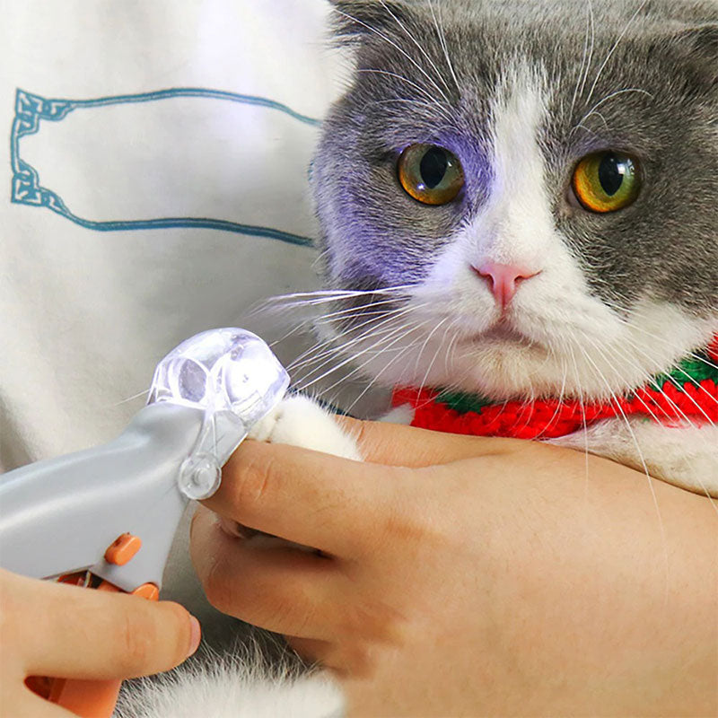PawGlow – LED Krallenknipser für Haustiere mit Schnellsensor und rutschfestem Griff