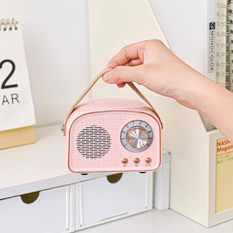 SoundVibe – Tragbarer Bluetooth Lautsprecher mit FM Hörfunk und klassischem Sound