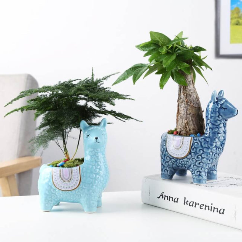 AlpacaGlow – Einzigartiger Alpaka Blumentopf für verspielte Raumdekoration