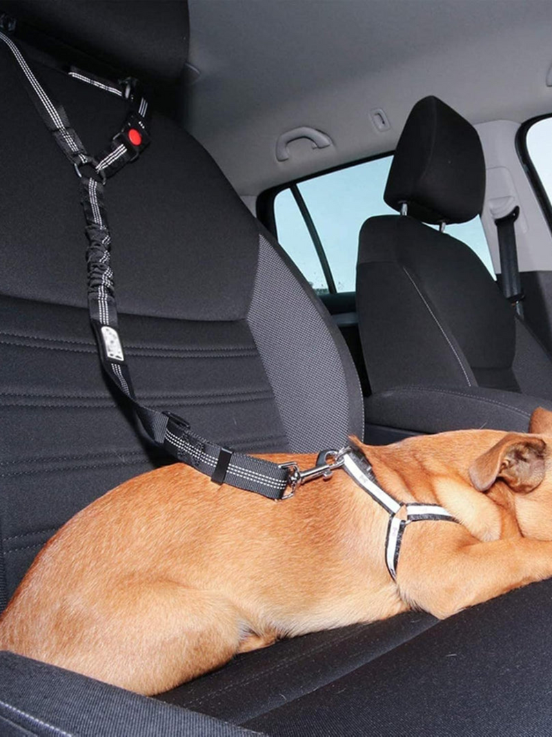 TailLock – Verstellbarer elastischer Hunde Autosicherheitsgurt für Sicherheit und Komfort