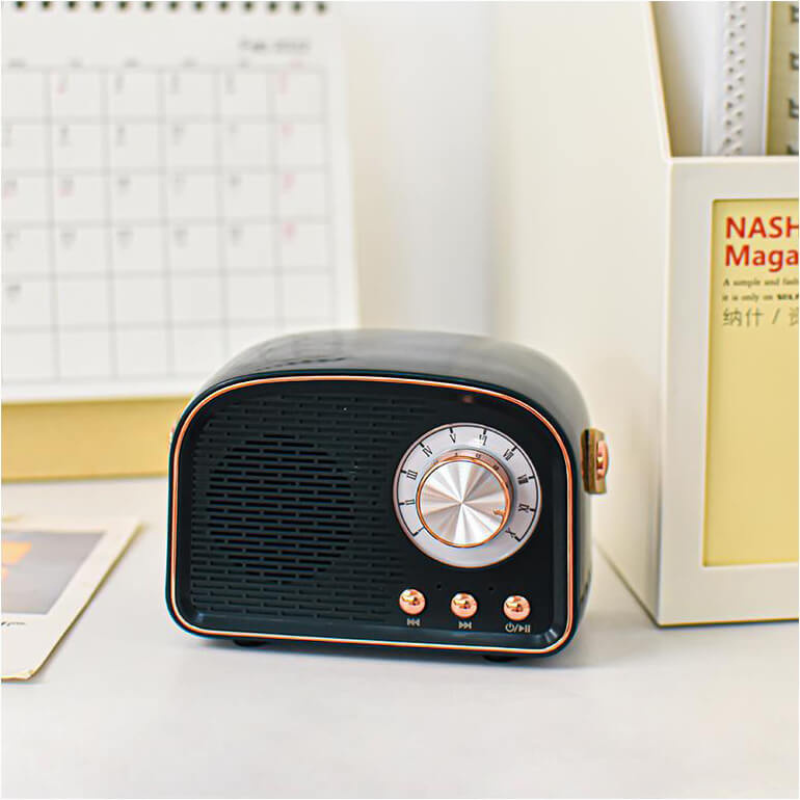SoundVibe – Tragbarer Bluetooth Lautsprecher mit FM Hörfunk und klassischem Sound