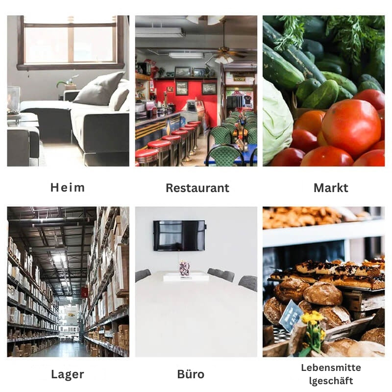 CatchEase – Automatische Mausefalle mit Einwegtür zum schnellen Fangen