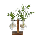 AquaGrow – Kompakte Hydrokultur-Anbaubox für den Innenbereich zur einfachen Pflanzenpflege