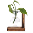 AquaGrow – Kompakte Hydrokultur-Anbaubox für den Innenbereich zur einfachen Pflanzenpflege