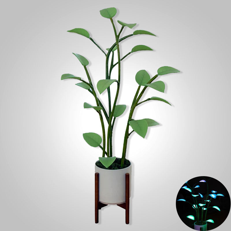 LushLight – Farbwechselnde LED Pflanzenlampe mit Umgebungslicht