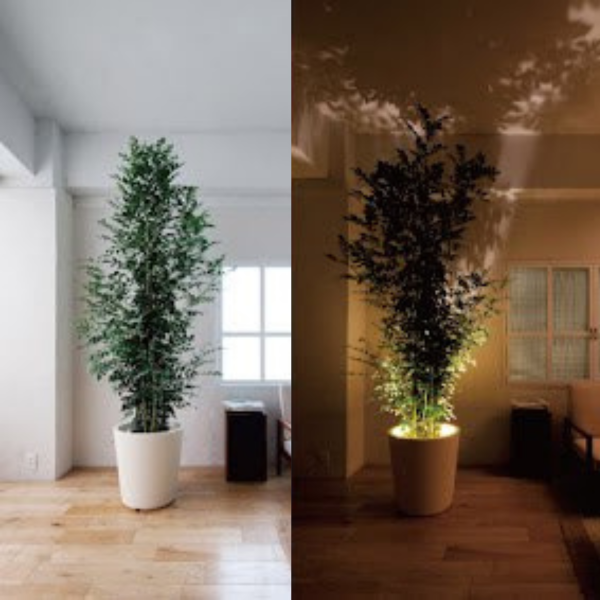 LumiProject - Zuverlässige Projektorlampe mit multidirektionalem Scheinwerferlicht für Kunst und Dekoration