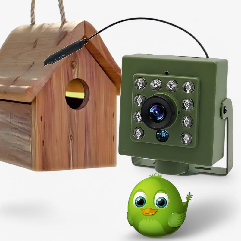 BirdView – WiFi Nestkamera zur Vogelbeobachtung mit HD Auflösung und Nachtsicht