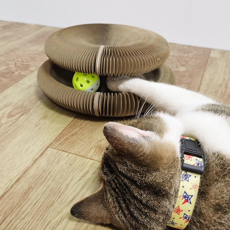 PurrPlay - Magisch faltbares Katzenkratzbrett Mit Glockenball