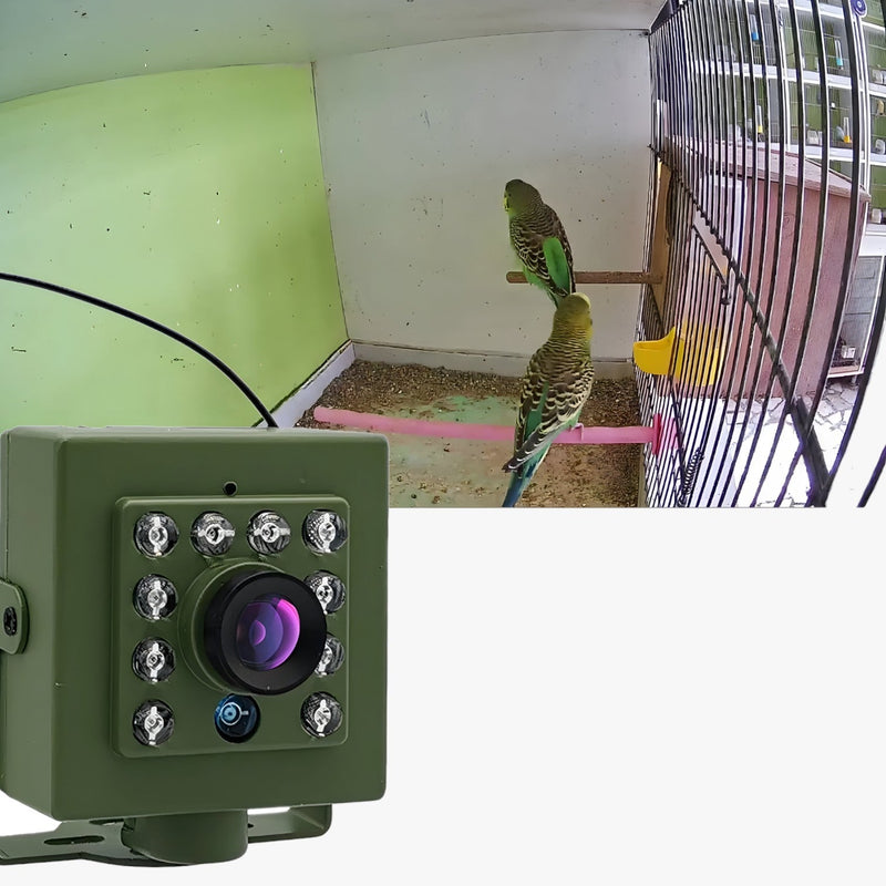 BirdView – WiFi Nestkamera zur Vogelbeobachtung mit HD Auflösung und Nachtsicht
