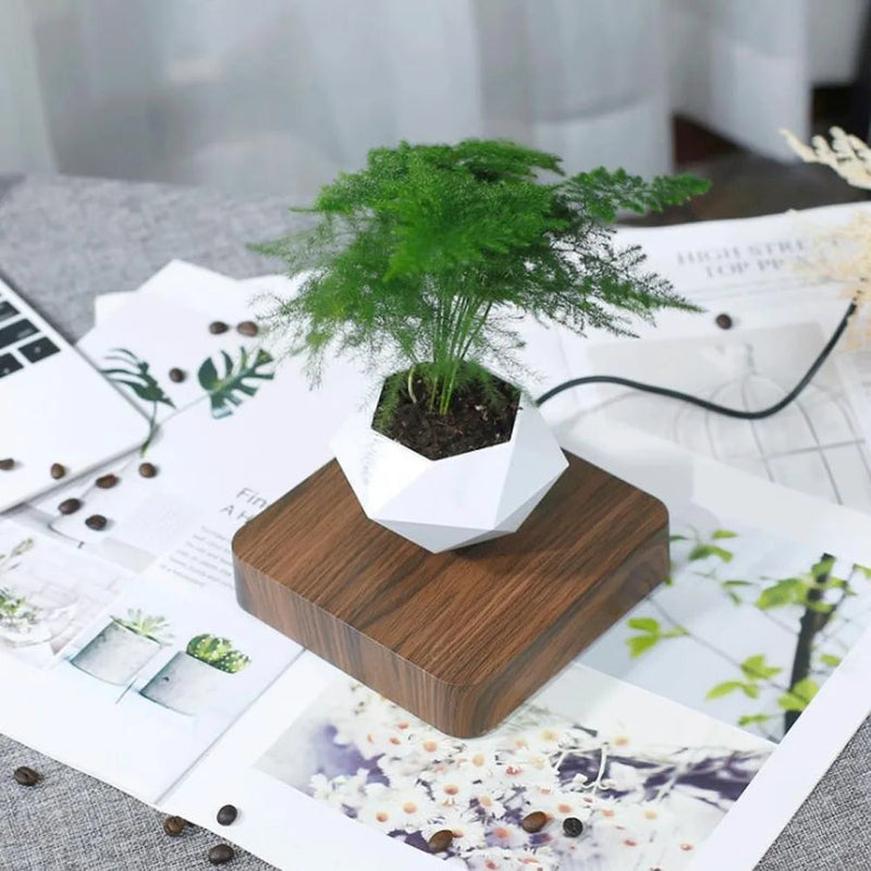 OrbitGrow - Magnetische schwimmende Bonsai Topf für Home Dekor