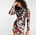 Elysia - Langärmelig Blumen Gestickt Minikleid