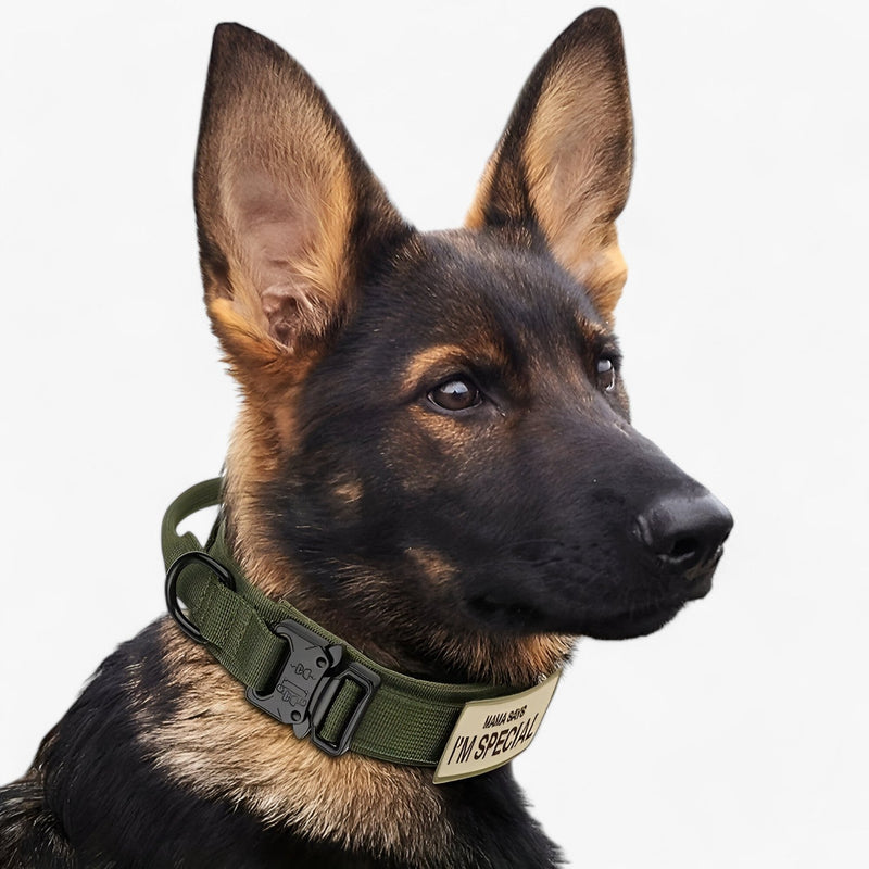 PawBark – Taktisches Hundehalsband mit Griff für bessere Kontrolle