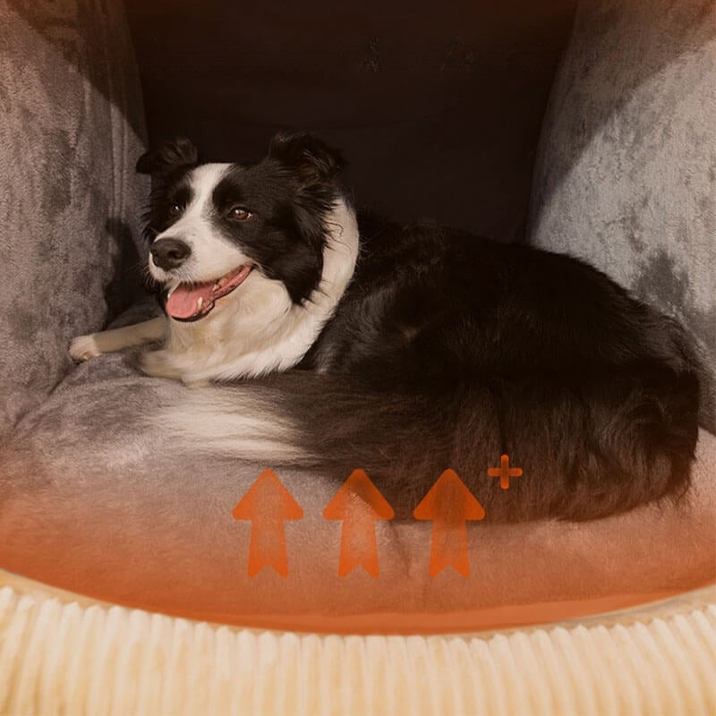 PupHaven – Abnehmbares Hundezeltbett mit geschlossenem Entwerfen und einfacher Lagerung