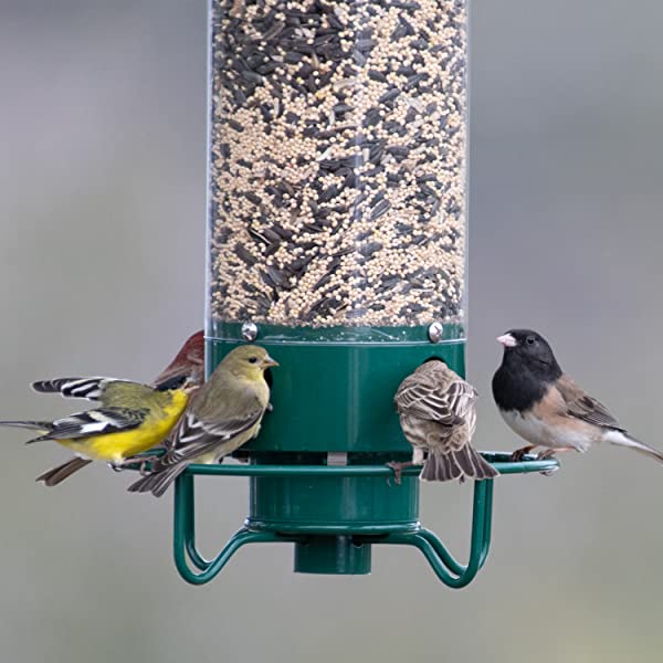 BirdHaven - Draußen Hängend Eichhörnchensicher Wildvogelfütterung