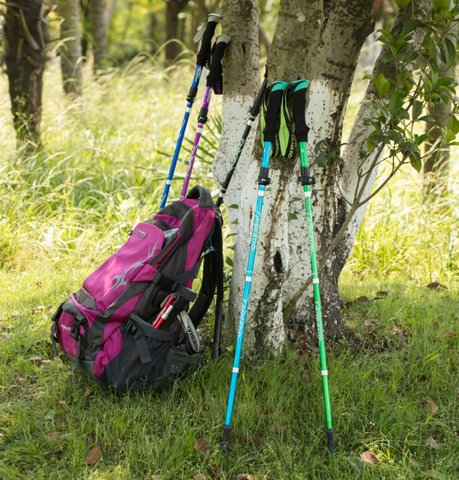 StridePro - Leichtgewicht Zuverlässig Unterstützung Gehen Pole